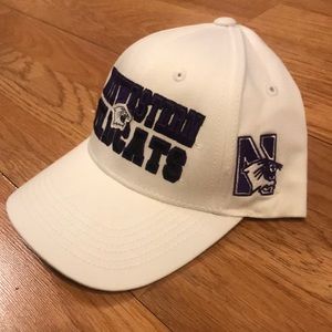 Northwestern Wildcats hat